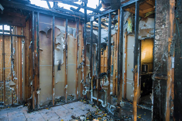 Professional Fire Damage Cleanup technician working in Andover, MN